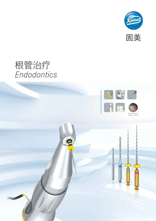 komet-dental-diao-endodontie-brosch-re-wurzelkanal image 1