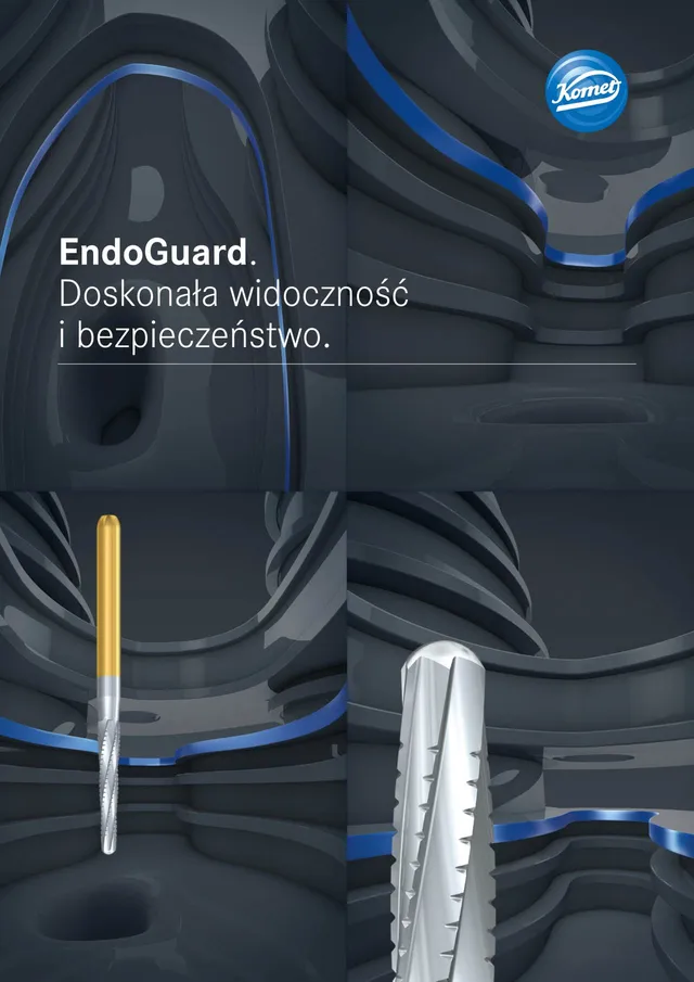 komet-fq-endoguard-wurzelkanalfeilen-set-sicherheit image 1