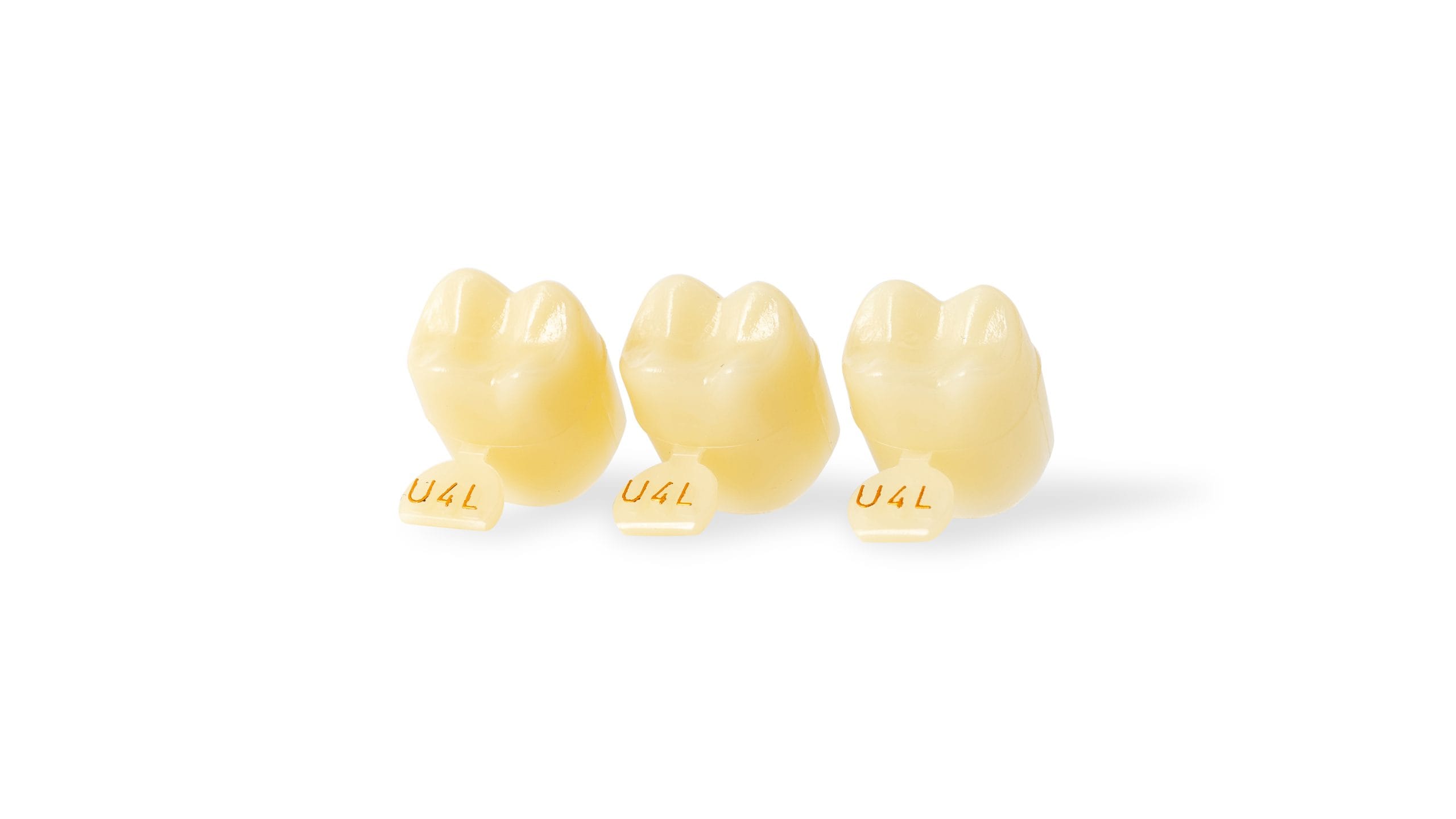 directa-temporary-crown-molar-provisorium-transluzent image 2