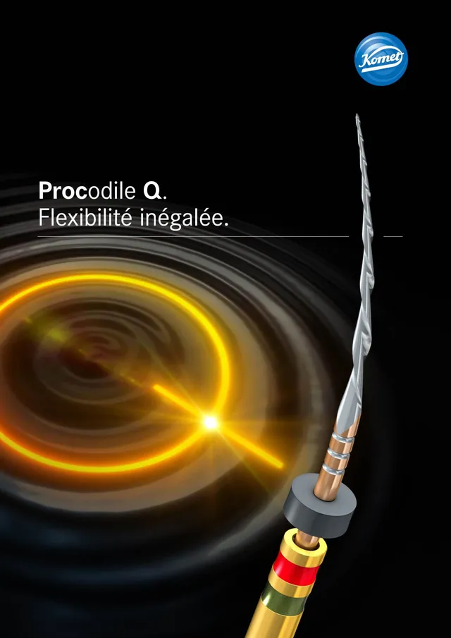 komet-procodile-q-wurzelkanalfeilen-niti-flexibel-6-st-ck image 1