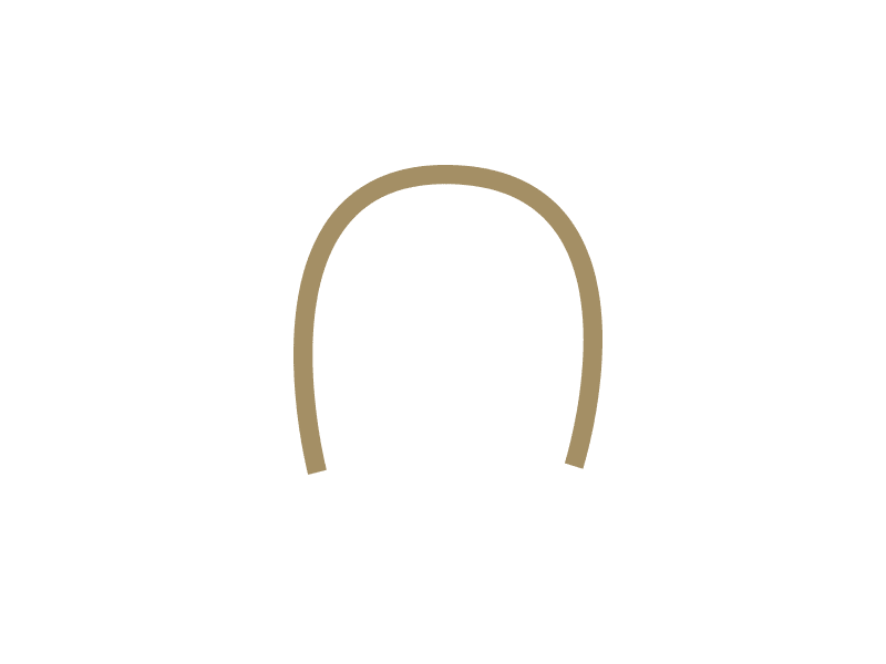forestadent-brackets-metall-keramik-selbstligierend-auswahl image 7