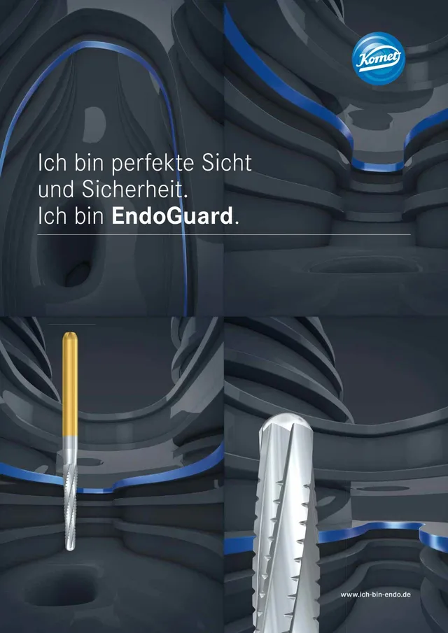komet-dental-endoguard-brosch-re-endodontie-sicht-sicherheit image 1