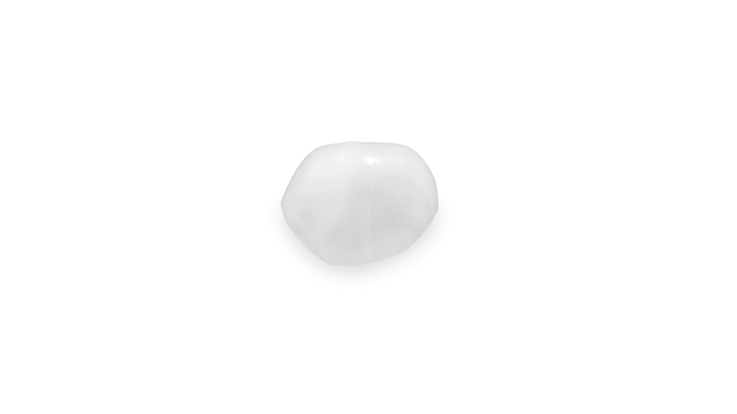 luxator-ceramir-pediatric-crowns-milchzahnkrone-f-r-kinder image 8