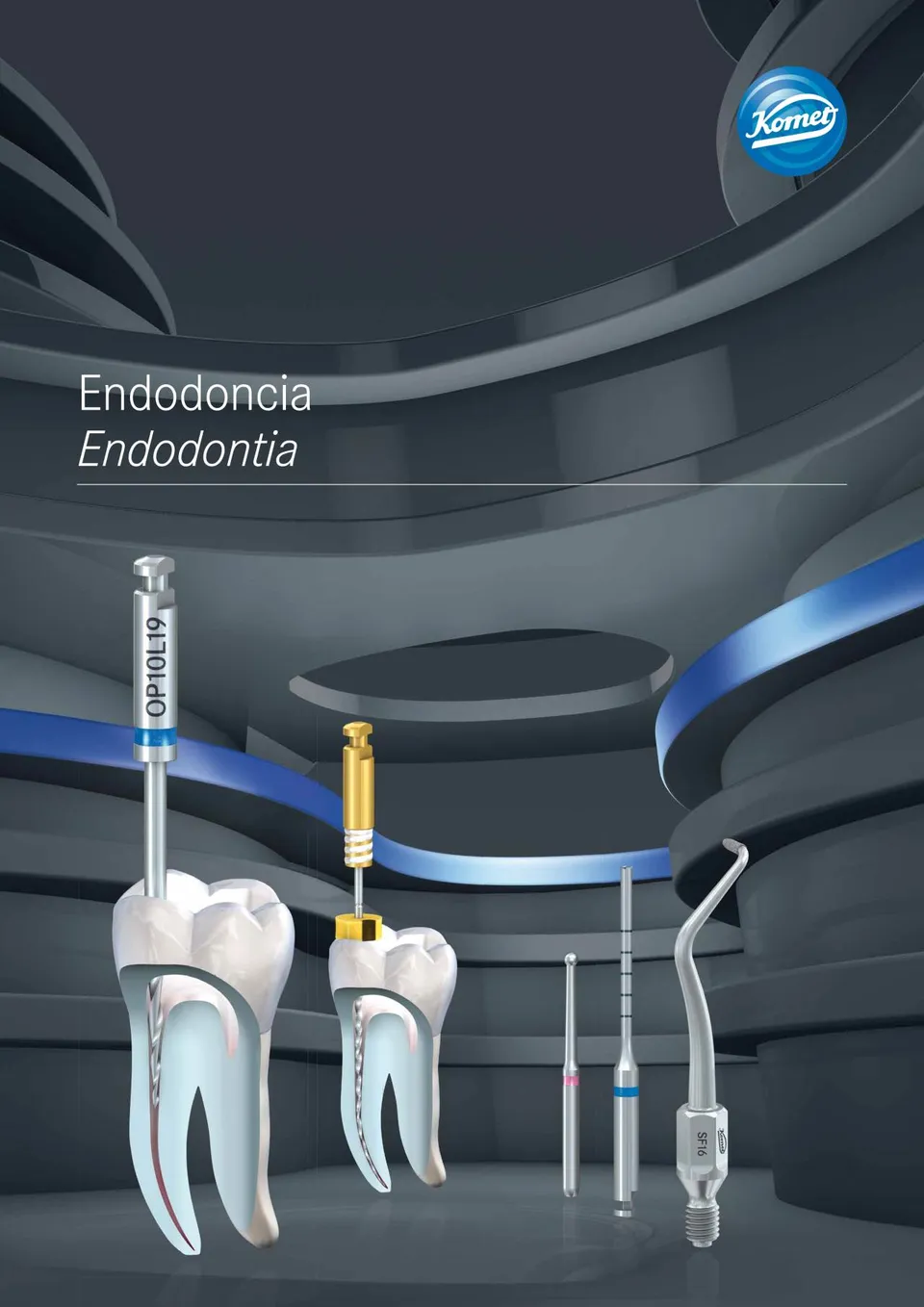 komet-dental-fq-endodontie-brosch-re-spanisch-portugiesisch image 1