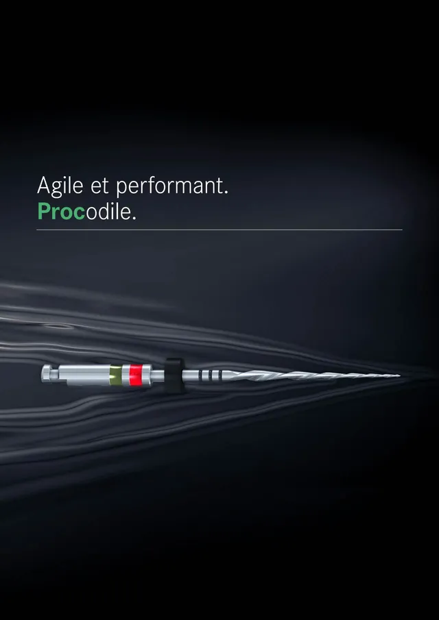 komet-dental-procodile-brosch-re-feilen-endodontie image 1