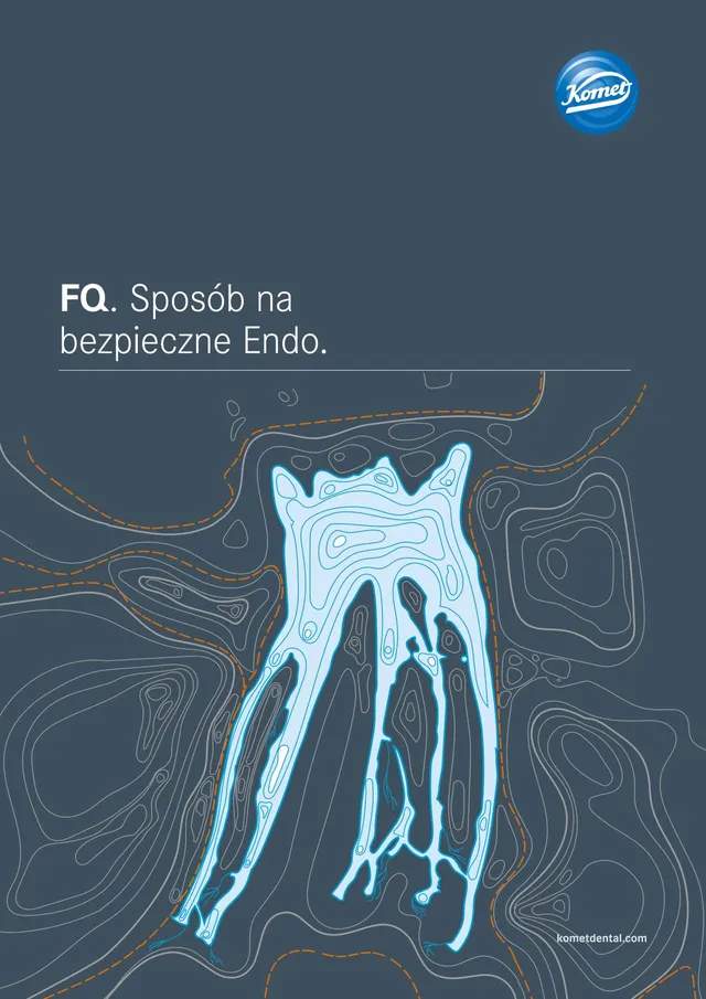 komet-dental-fq-brosch-re-sicheres-endo-endodontie image 1